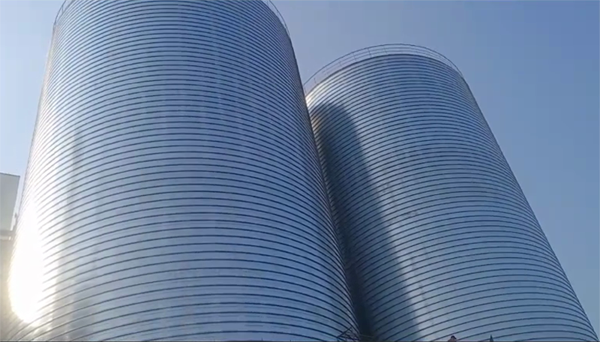 大厂2座混凝土高架卷板仓